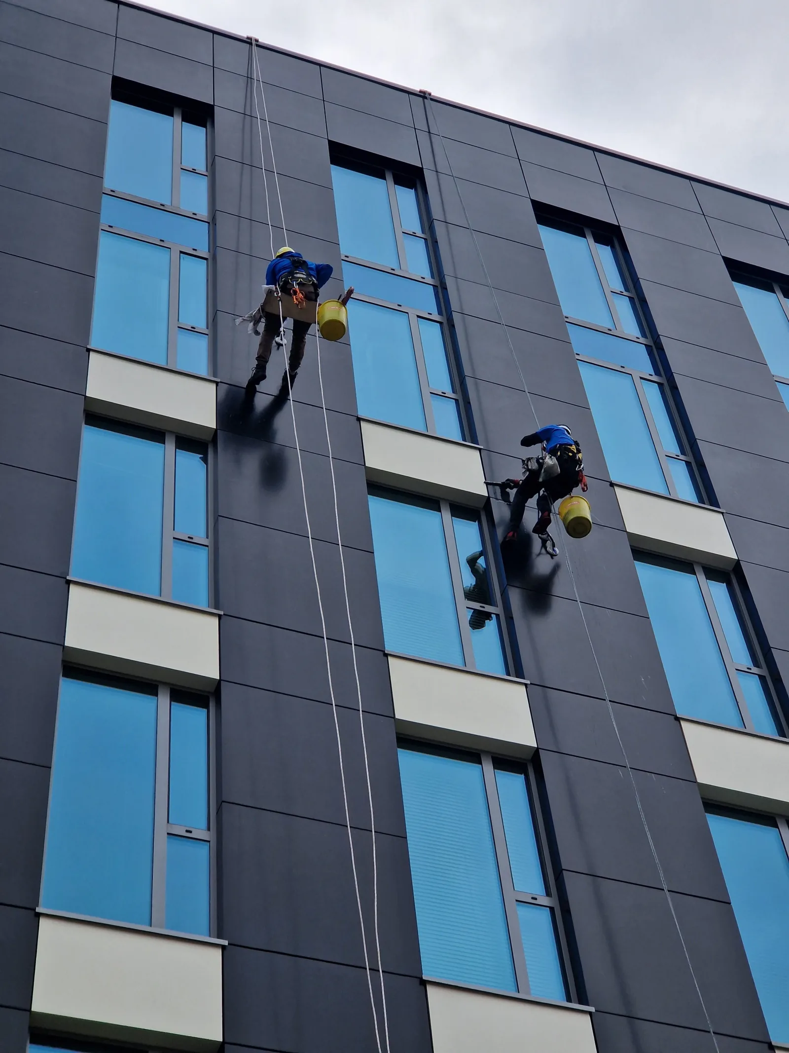 Window Cleaning
